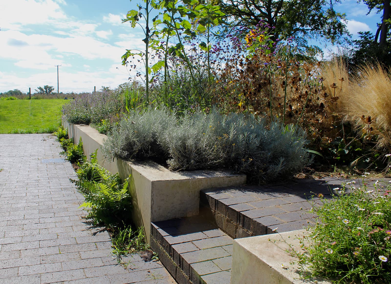 Tractor barn planting