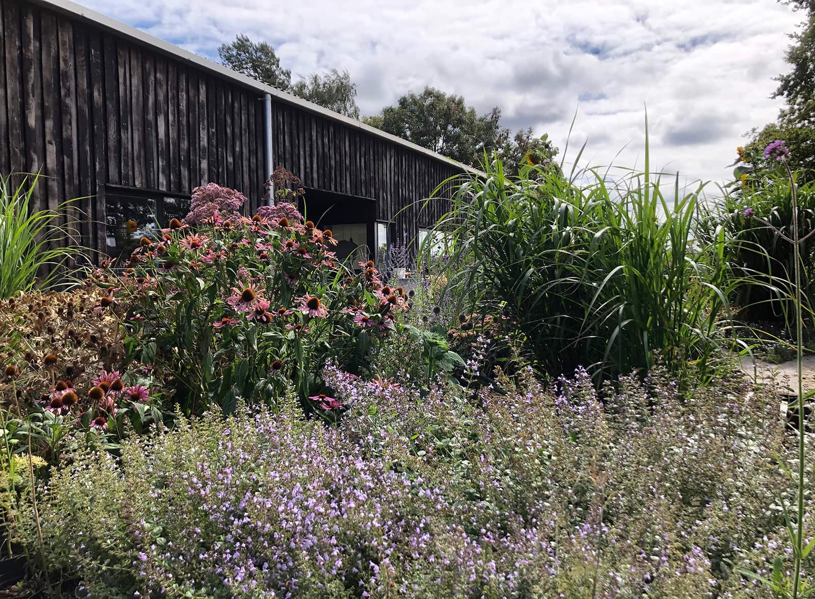 Tractor barn planting